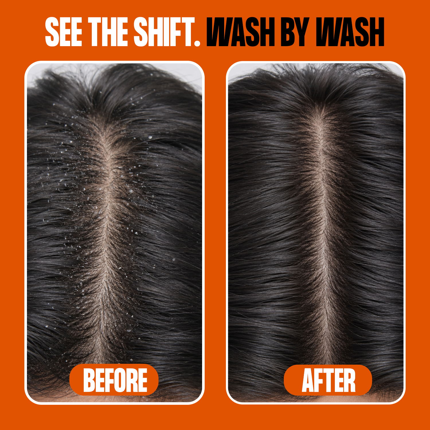 Daily Detox Shampoo